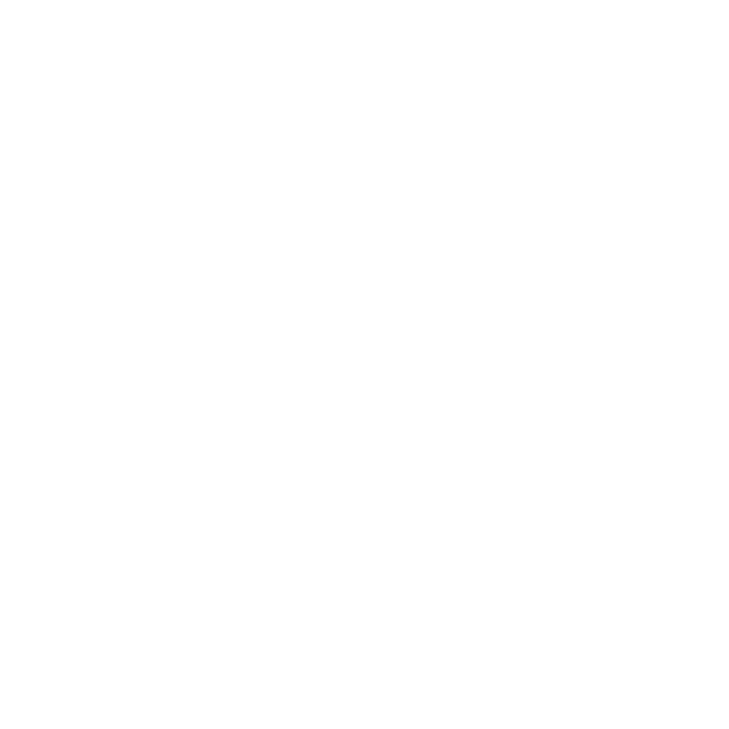 Freya holographic logo